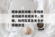 栖身通关攻略—寻找并成功避开关键关卡,攻略,如何在紧急关卡中突破迷宫