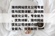潍坊网站优化公司专业性与优势详解，潍坊网站优化公司，专业能力、优势详解，潍坊网站优化公司详细介绍，专业能力、优势解析