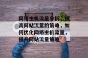 网络主机流量分析，提高网站流量的策略，如何优化网络主机流量，提升网站流量策略