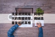流量测评网站，网络时代的数据侦探，揭秘流量背后的真相