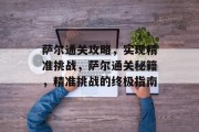 萨尔通关攻略,实现精准挑战,萨尔通关秘籍,精准挑战的终极指南