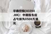 华鼎控股(03398.HK)：中期股东应占亏损为8508万港元