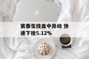 寰泰生技盘中异动 快速下挫5.12%