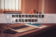 如何有效变现网站流量，全方位策略解析