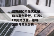 江苏SEO网站优化策略与案例分析，江苏SEO网站优化，策略、案例与效果分析