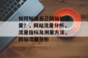 如何知道自己网站的流量？，网站流量分析，流量指标及测量方法，网站流量分析