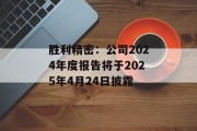 胜利精密：公司2024年度报告将于2025年4月24日披露