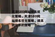 天津SEO网站排名优化策略，天津SEO网站排名优化策略，提高转化率的策略