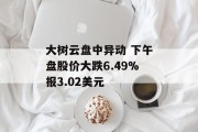 大树云盘中异动 下午盘股价大跌6.49%报3.02美元