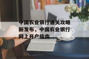 中国农业银行通关攻略新发布,中国农业银行网上开户指南