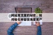 网站用流量的秘密，如何吸引并留住海量用户