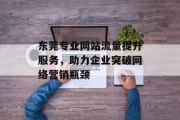 东莞专业网站流量提升服务，助力企业突破网络营销瓶颈