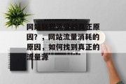 网站耗费流量的真正原因？，网站流量消耗的原因，如何找到真正的流量源