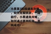 小黑第3阶段通关攻略,如何克服挑战,一路前行,小黑通关攻略,如何通过第四阶段,走向成功!