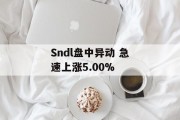 Sndl盘中异动 急速上涨5.00%