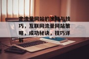 定流量网站的策略与技巧，互联网流量网站策略，成功秘诀，技巧详解