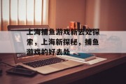 上海捕鱼游戏新去处探索，上海新探秘，捕鱼游戏的好去处