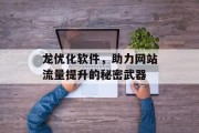 龙优化软件，助力网站流量提升的秘密武器