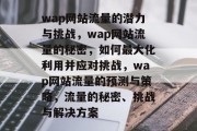 wap网站流量的潜力与挑战，wap网站流量的秘密，如何最大化利用并应对挑战，wap网站流量的预测与策略，流量的秘密、挑战与解决方案
