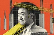 王健林的至暗时刻与万达的救赎之路：从柏文喜大资管理论看商业帝国的重构