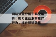 网站流量分析工具全解析，助力企业洞察用户行为，提升营销效果