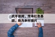 武平新闻，传承红色基因，助力乡村振兴