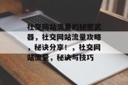 社交网站流量的秘密武器，社交网站流量攻略，秘诀分享！，社交网站流量，秘诀与技巧