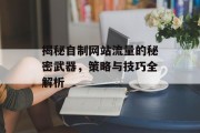 揭秘自制网站流量的秘密武器，策略与技巧全解析