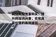 揭秘网站流量购买，提升网站访问量，实现商业价值的有效途径