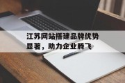 江苏网站搭建品牌优势显著，助力企业腾飞