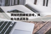 揭秘内购破解游戏，风险与挑战并存