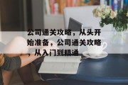 公司通关攻略，从头开始准备，公司通关攻略，从入门到精通