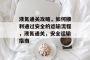 液氮通关攻略，如何顺利通过安全的运输流程，液氮通关，安全运输指南