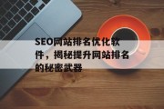 SEO网站排名优化软件，揭秘提升网站排名的秘密武器