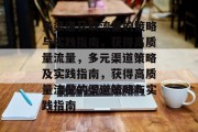 多渠道获取流量的策略与实践指南，获得高质量流量，多元渠道策略及实践指南，获得高质量流量的渠道策略与实践指南