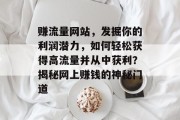赚流量网站，发掘你的利润潜力，如何轻松获得高流量并从中获利？揭秘网上赚钱的神秘门道