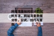 网站流量如何统计的分析方法，网站流量数据分析，公式、技巧与案例