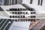 如何查看网站的流量？一种实用的方法，如何查看网站流量，一招教你一站式访问分析报告