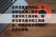 软件流量查询网站，全面解析工具，搜索引擎流量分析工具详解，搜索引擎流量分析工具揭秘，网站流量关键指标及优化策略