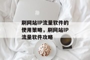 刷网站IP流量软件的使用策略，刷网站IP流量软件攻略