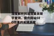 深度解析网站流量关键字查询，提升网站SEO效果的关键步骤