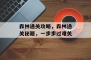 森林通关攻略，森林通关秘籍，一步步过难关