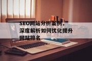 SEO网站分析案例，深度解析如何优化提升网站排名