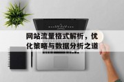 网站流量格式解析，优化策略与数据分析之道
