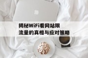 揭秘WiFi看网站限流量的真相与应对策略