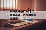 SEO网站推广入门，掌握基础，迈向网络营销巅峰
