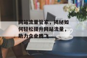 网站流量管家，揭秘如何轻松提升网站流量，助力企业腾飞