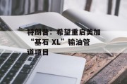 特朗普：希望重启美加“基石 XL”输油管道项目