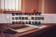 盐城SEO网站排名优化软件教程，助您轻松提升网站流量与排名