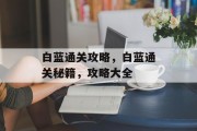 白蓝通关攻略，白蓝通关秘籍，攻略大全